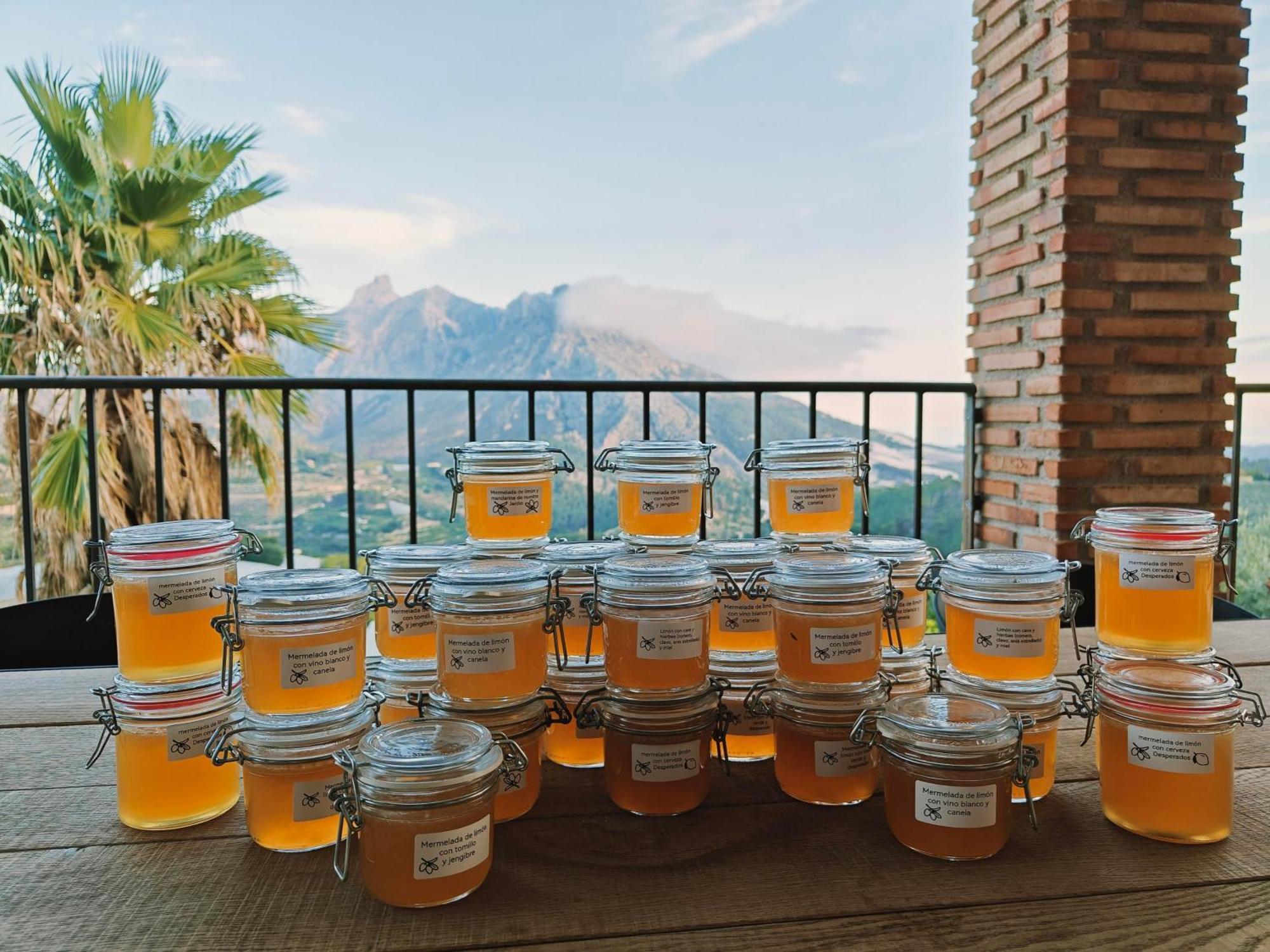 Finca Oliva Bolulla Zewnętrze zdjęcie