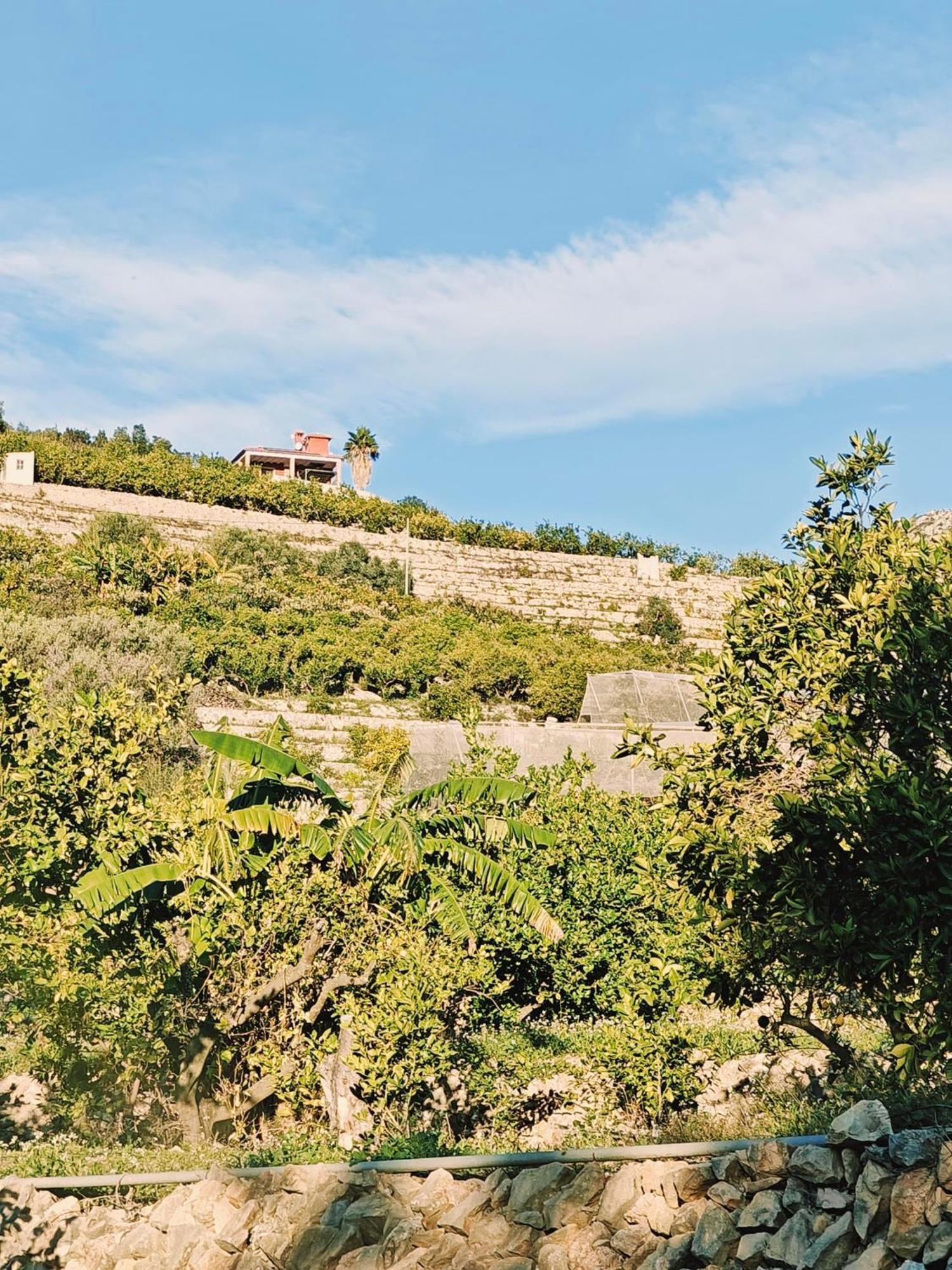 Finca Oliva Bolulla Zewnętrze zdjęcie